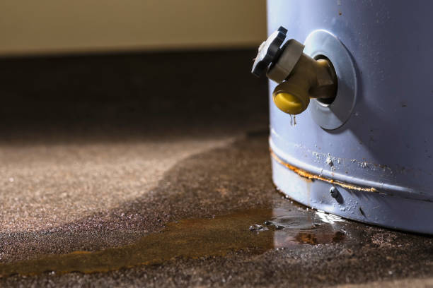 Best Mold removal after water damage  in Fall River, MA