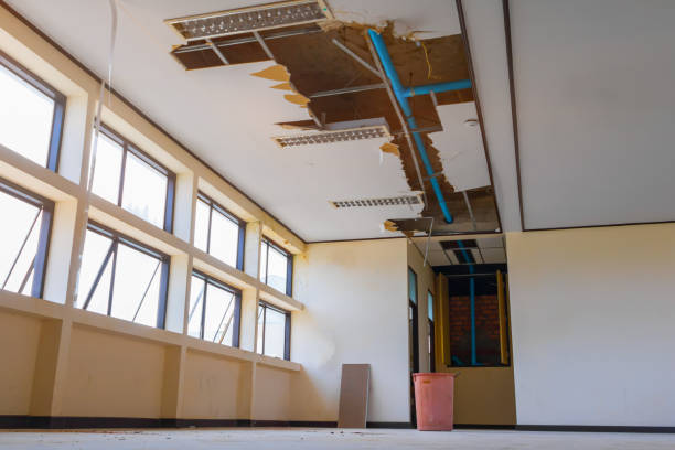 Best Water damage cleanup near me  in Fall River, MA