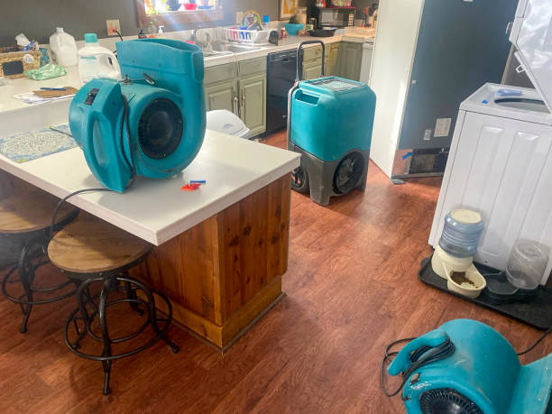 Best Water damage restoration near me  in Fall River, MA