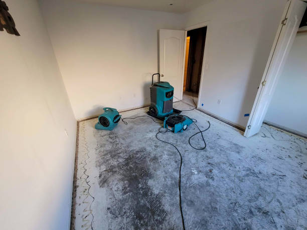 Best Water damage restoration process  in Fall River, MA