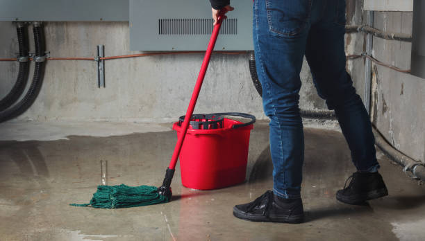 Best Sewage cleanup and water damage restoration  in Fall River, MA