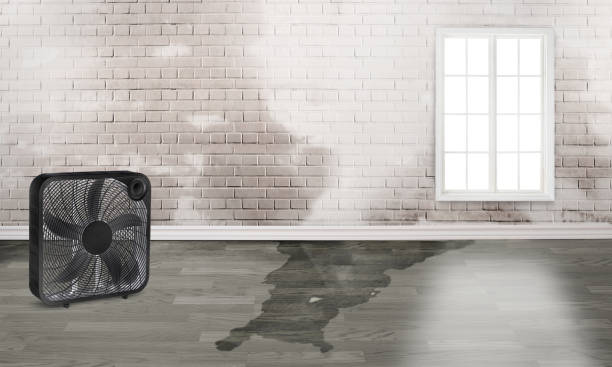 Best Local water damage restoration  in Fall River, MA