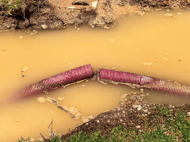 Best Basement water damage restoration  in Fall River, MA