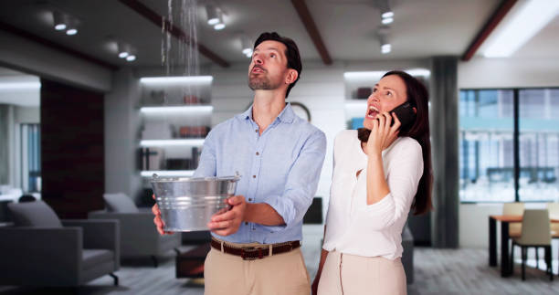 Best Mold removal after water damage  in Fall River, MA