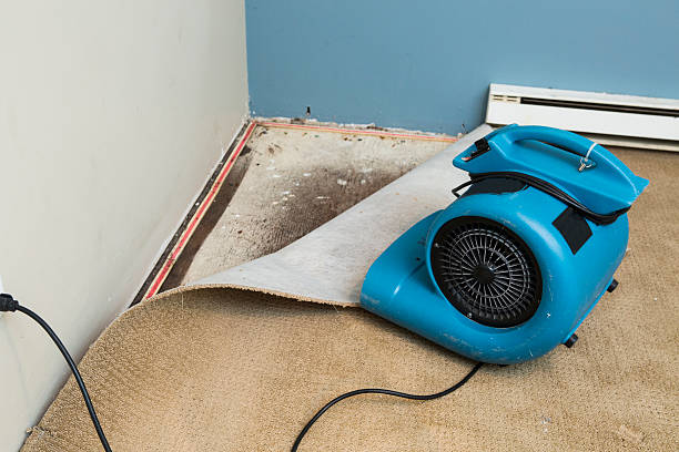  Fall River, MA Water damage restoration Pros